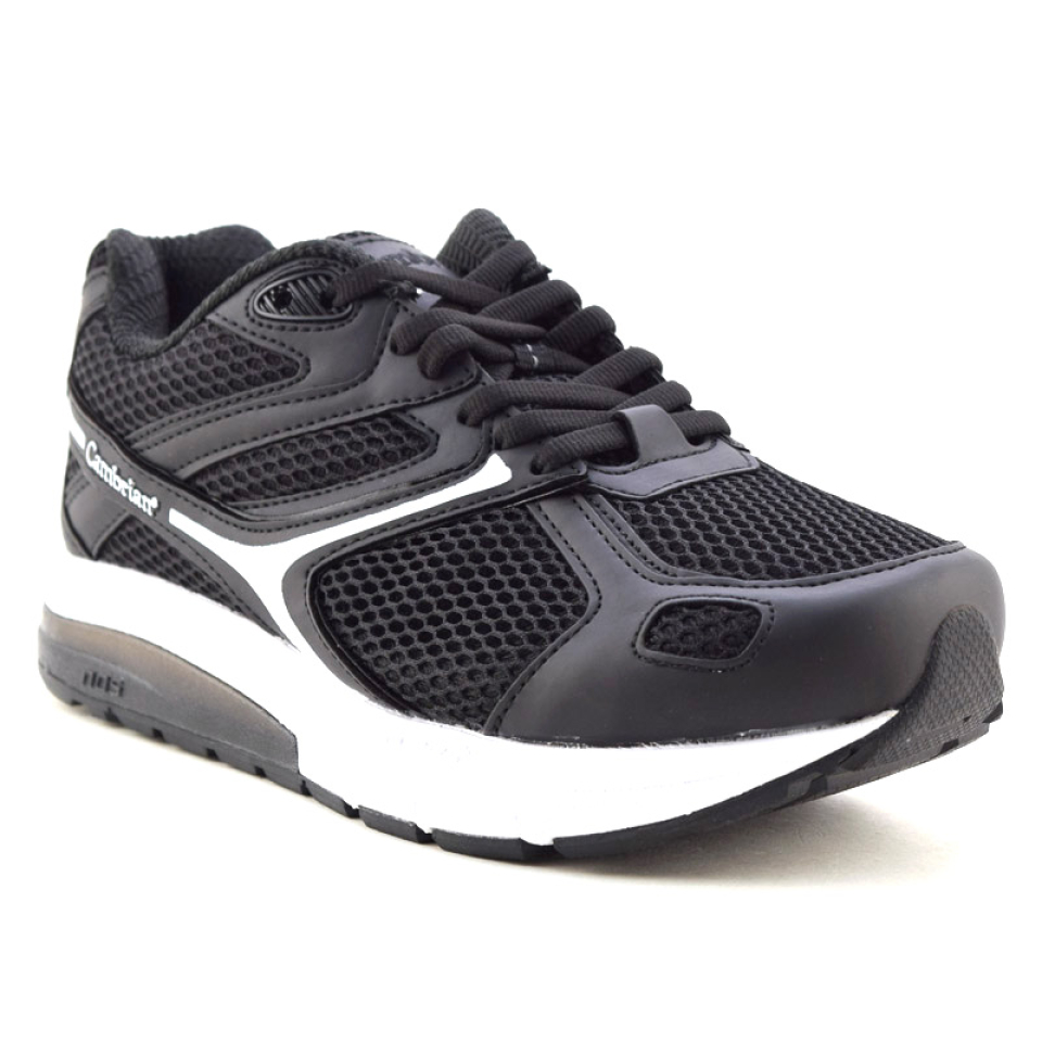 PFA - 31613 - CAMBRIAN PFA - 31613 - CAMBRIAN